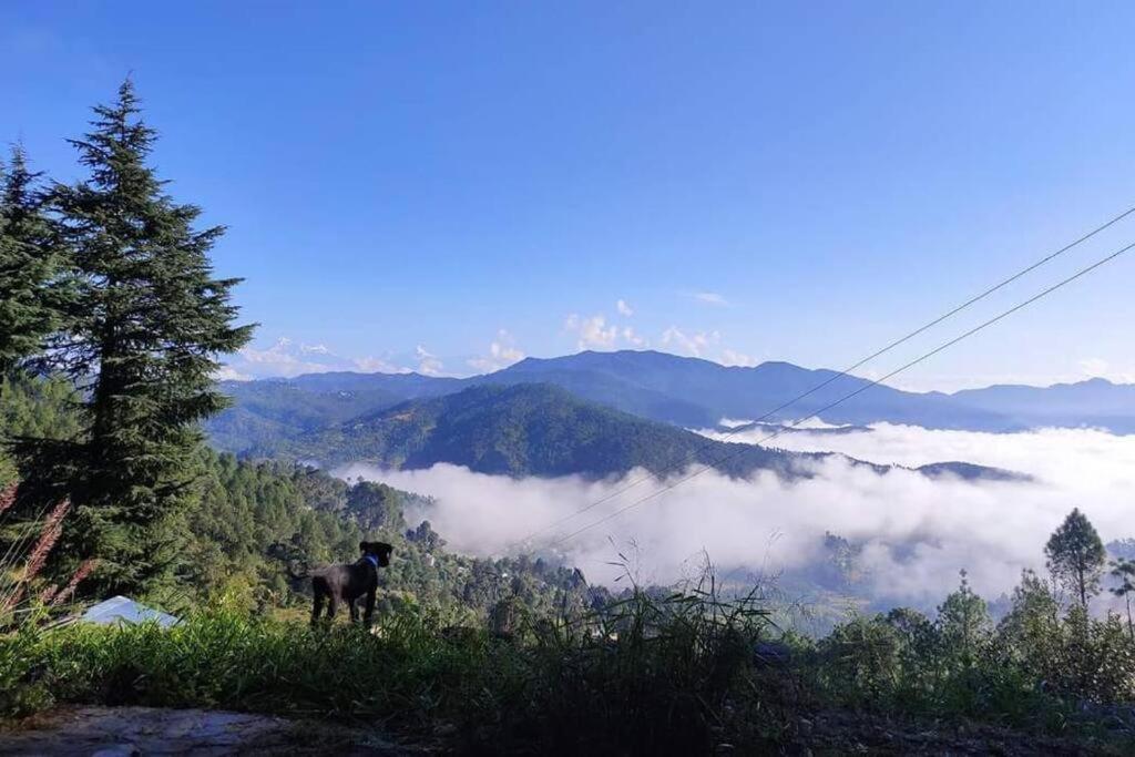 Little Himalayan Abode Villa Almora Ngoại thất bức ảnh