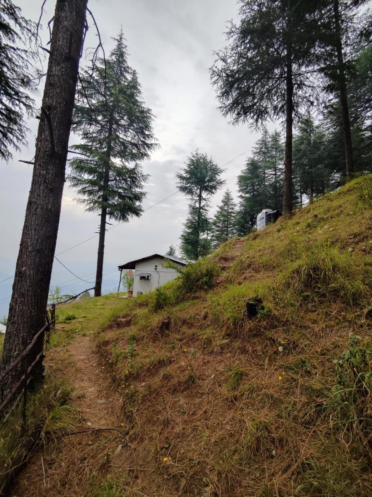 Little Himalayan Abode Villa Almora Ngoại thất bức ảnh